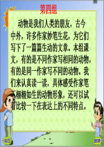 13课《白鹅》PPT课件