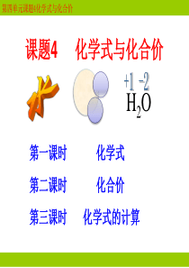 2014年新课标人教版九年级化学化学式与化合价课件