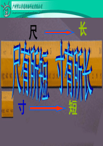 28《尺有所长寸有所短》课件