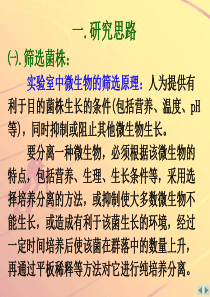 土壤中分解尿素的细菌的分离与计数