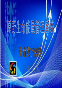 生命数字密码1