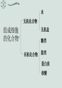 生命活动的主要承担者