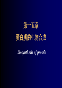 第十五章蛋白质的生物合成ppt-上海中医药大学