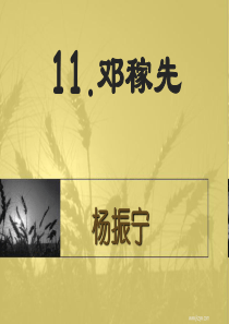 《邓稼先》课件(共43张)