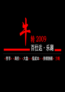 百仕达乐湖营销方略2009.2.18-3