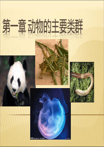 八年级生物：八年级上册生物-第一章-第一节：《腔肠动物和扁形动物》精品中学ppt课件