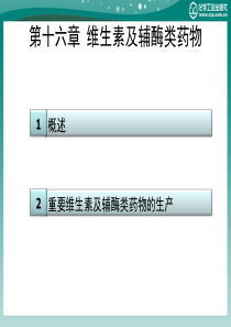 第十六章维生素及辅酶类药物