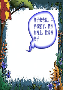 《小松鼠找花生》修改后