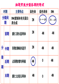 减数分裂 ppt 图文解说