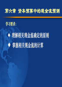 第六章 资本预算中的现金流预测