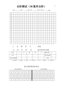 台阶测试表格