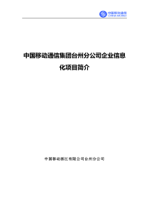 企业信息化项目介绍