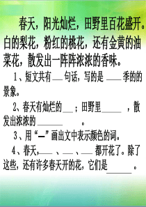 一年级语文阅读训练答案