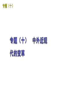 2012年中考历史二轮复习热点专题：专题(十)  中外近代的改革