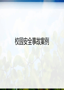 校园安全事故案例