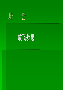 202班会课件之励志系列：放飞梦想