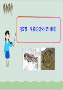 生物的进化-教学课件28-北师大版