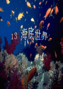 沪教版13海底世界