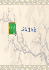 湘教版八年级下5.2《频数直方图》课件(共30张PPT)