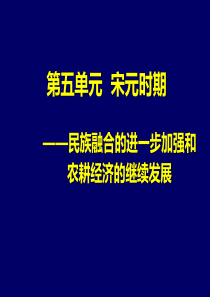 宋元时期历史知识点总结 高三总复习PPT