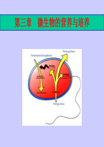 河南工业大学 食品微生物学 第三章 微生物的营养与培养(1)