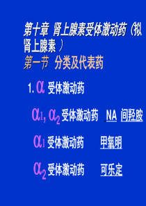 肾上腺素受体激动药(拟肾上腺素