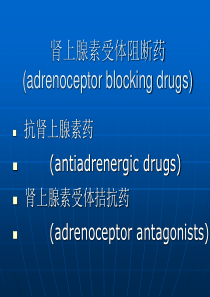 肾上腺素受体阻断药