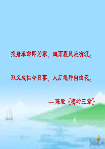 11《灯光》ppt课件