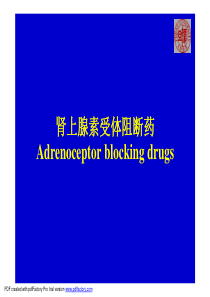 肾上腺素受体阻断药Adrenoceptorblocking