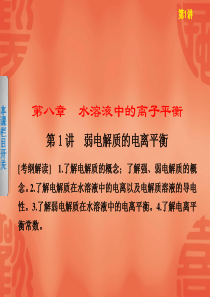 2013年化学高考冲刺总复习精品课件：电解质的电离平衡