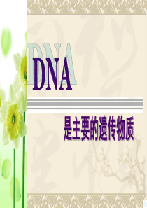 4472kj_新人教生物必修2《DNA是主要的遗传物质》课件ppt