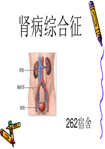 43小儿肾病综合征