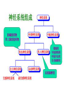 胆碱能药物