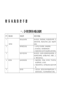 财务风险防控手册