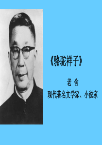 中考语文名著导读总复习系列(7)《骆驼祥子》ppt课件