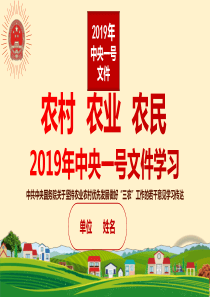 2019年中央一号文件学习解读ppt课件