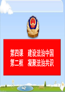 部编人教版九年级道德与法治上册4.2凝聚法治共识(共25张PPT)