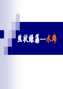 水绵(图片)