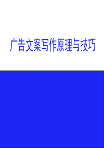 广告文案写作原理与技巧