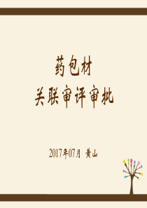 药包材关联审评审批_史志刚（PDF46页）