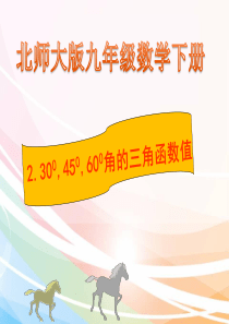 新北师大版九年级数学下册1.2特殊角三角函数值