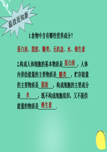 消化和吸收课件