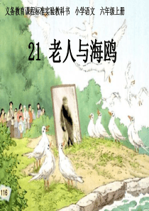 21、老人与海鸥的故事(精心制作)