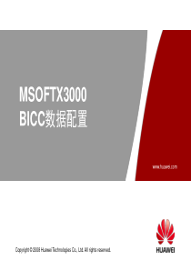 WG006209MSOFTX3000BICC数据配置ISSUE200