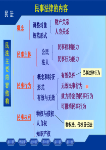 思修 民法 课件