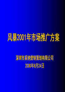 风暴2001年市场推广方案-深圳采纳