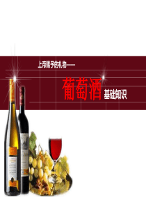 葡萄酒基础知识PPT（PPT45页)