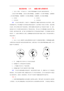 高考生物 116 减数分裂与受精作用专讲专练(含详解)新人教版必修2