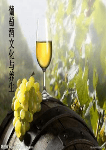 葡萄酒文化与养生