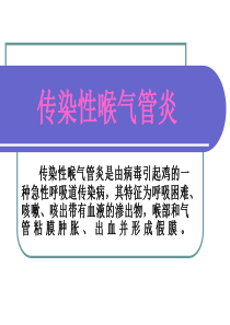 传染性喉气管炎.